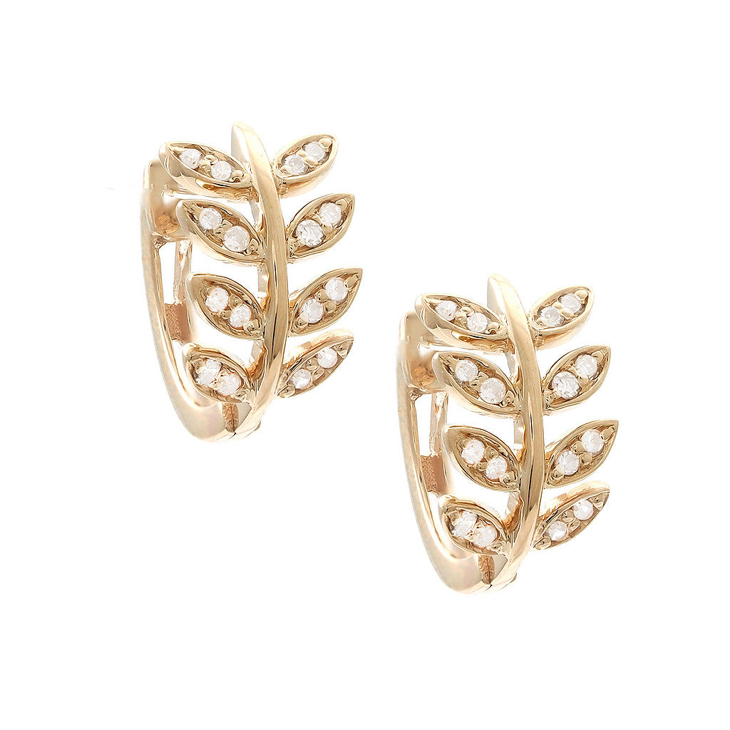 AROS HOJAS BRILLANTES
