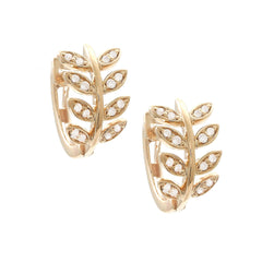 AROS HOJAS BRILLANTES