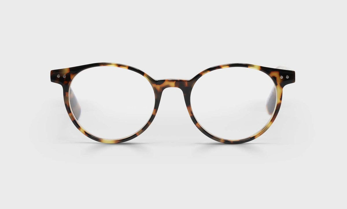 Anteojos Case Closed Tortoise