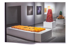 Libro Sheila Hicks