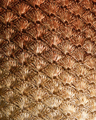 CLUTCH COBRE / DORADO