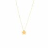 Cadena con estrella colgando al centro