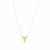 Collar con inicial Y