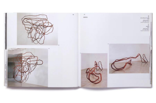 Libro Marcela Correa - Imagen 4