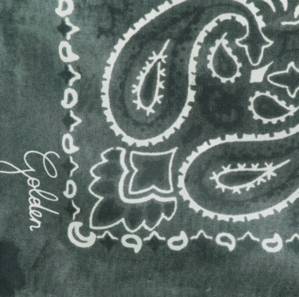 GOLDEN FOULARD PAISLEY - Imagen 2